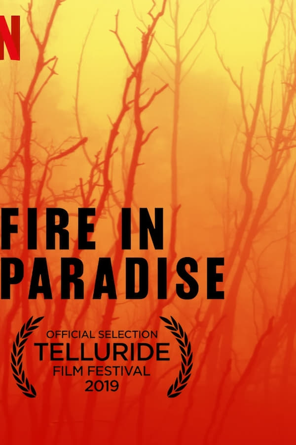 Fire in Paradise